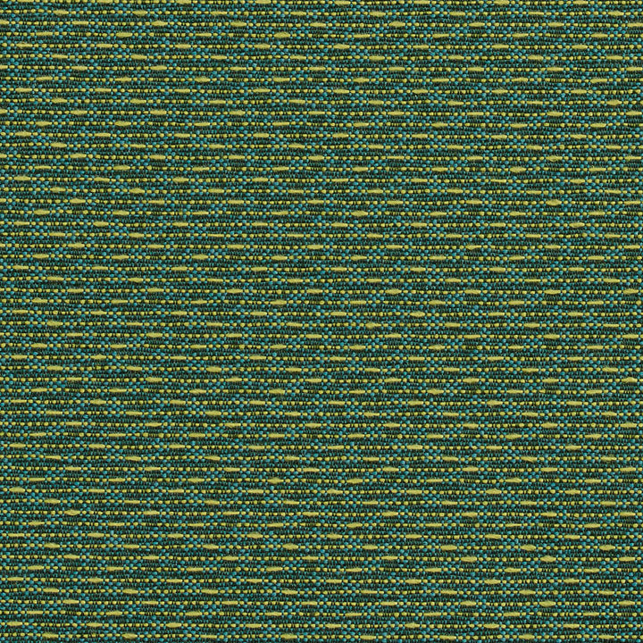 1705 Meadow by Charlotte Fabric Durables 100% Recycled Polyester Made In USA Exceeds 100,000 Wyzenbeek Rubs (Heavy Duty) </p><p>Repeat: 54 Inches - Fabric Carolina -