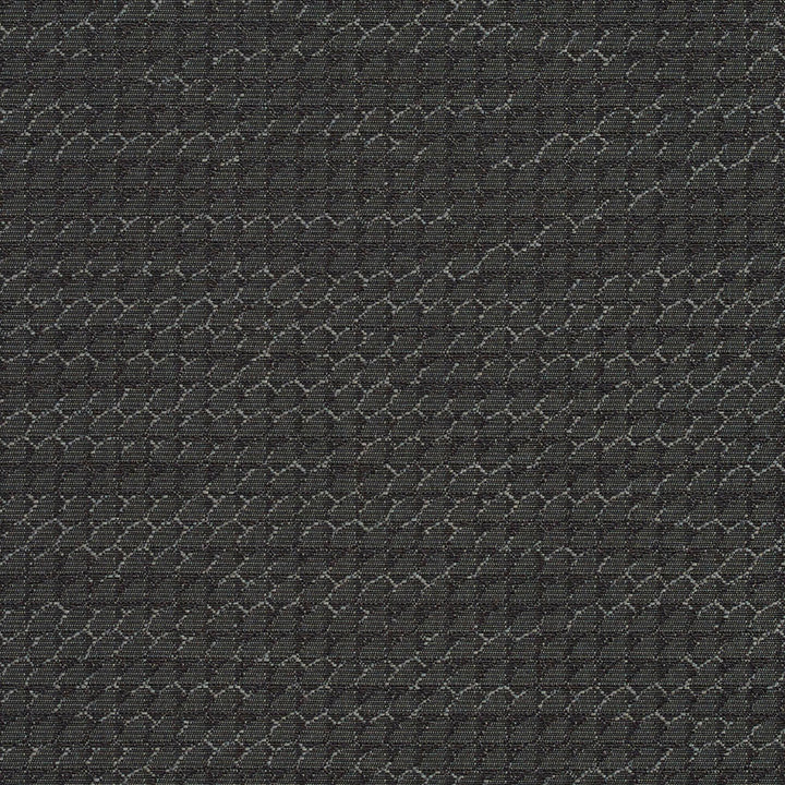 1707 Charcoal by Charlotte Fabric Durables 100% Recycled Polyester Made In USA Exceeds 100,000 Wyzenbeek Rubs (Heavy Duty) </p><p>Repeat: 54 Inches - Fabric Carolina -