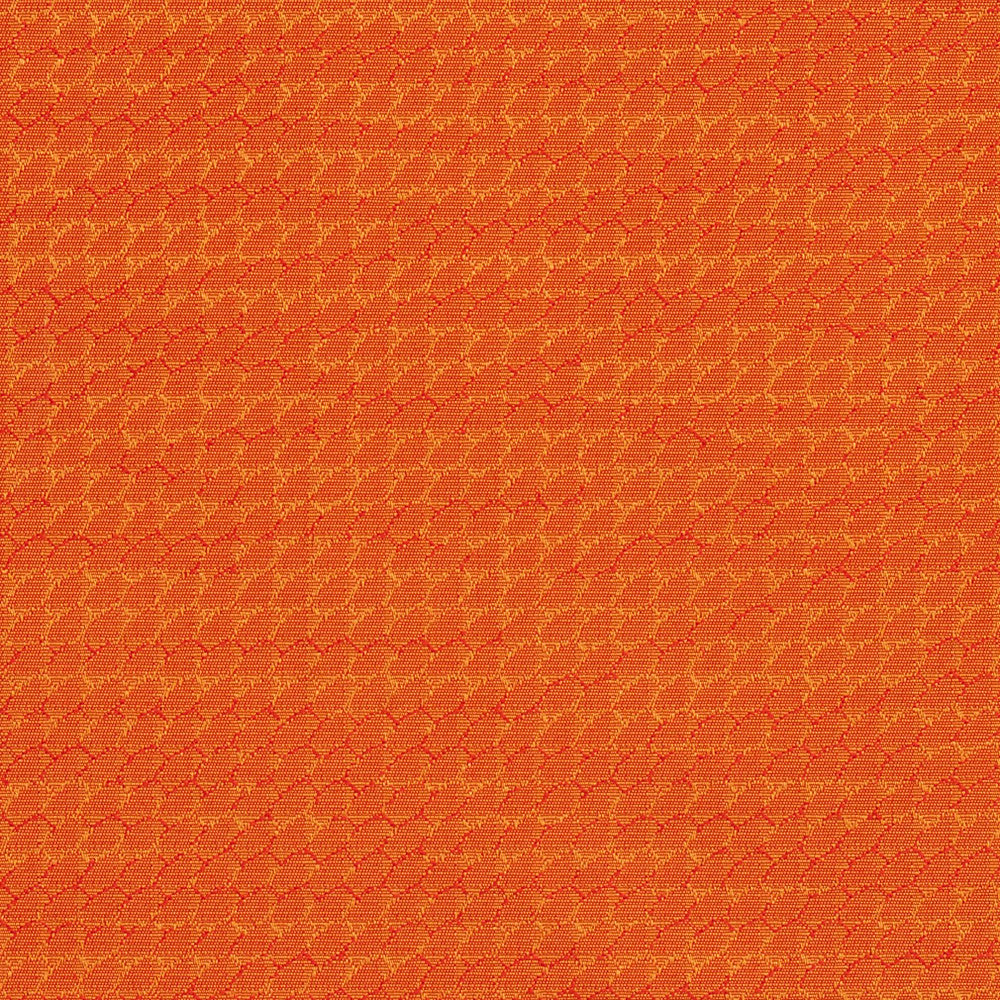 1708 Apricot by Charlotte Fabric Durables 100% Recycled Polyester Made In USA Exceeds 100,000 Wyzenbeek Rubs (Heavy Duty) No Repeat 54 Inches - Fabric Carolina -