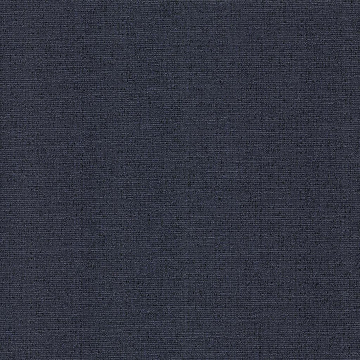 Justin Admiral by RM CoCo Fabric Classic Textures 100% Polyester See Sample 60000 Horizontal: 0 and Vertical: 0 54 - Fabric Carolina -