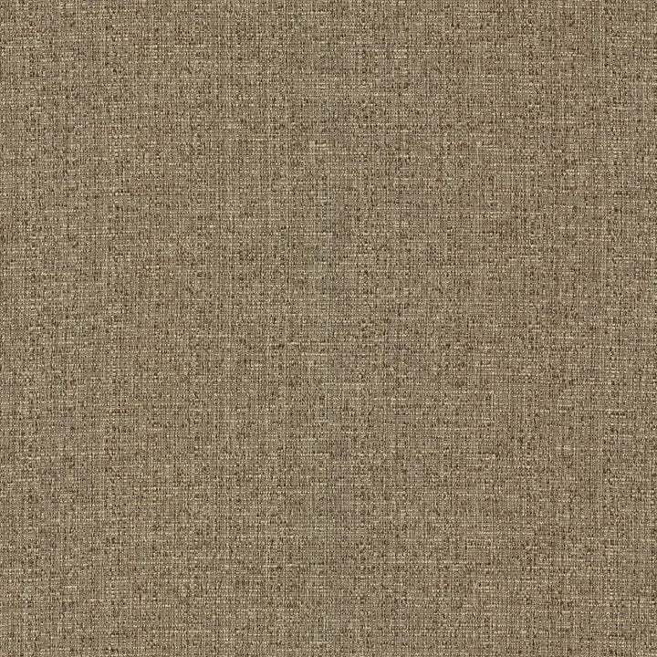 Justin Hazelnut by RM CoCo Fabric Classic Textures 100% Polyester See Sample 60000 Horizontal: 0 and Vertical: 0 54 - Fabric Carolina -