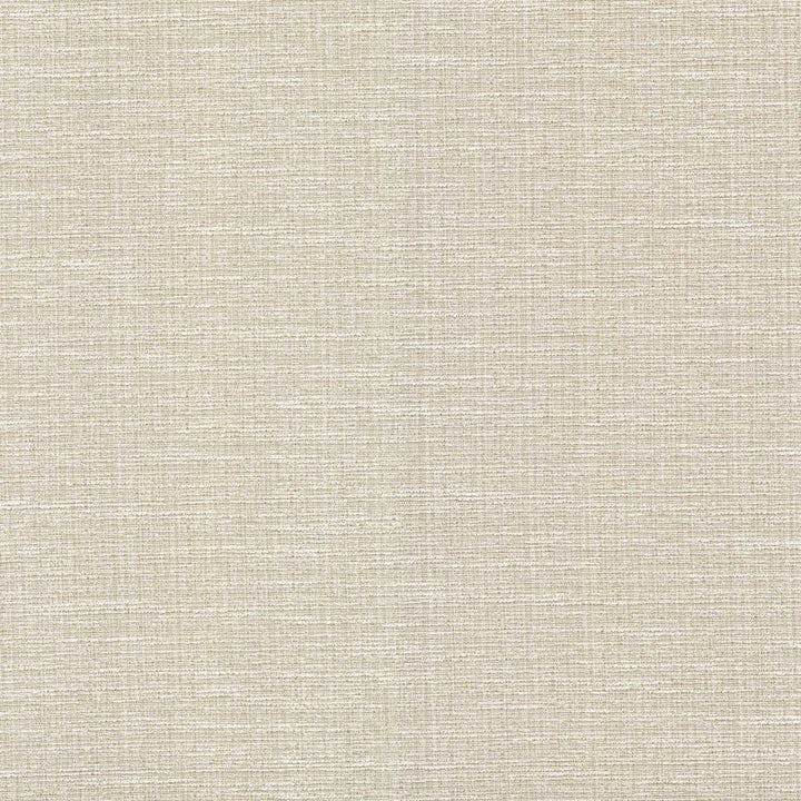 Justin Sand Dollar by RM CoCo Fabric Classic Textures 100% Polyester See Sample 60000 Horizontal: 0 and Vertical: 0 54 - Fabric Carolina -