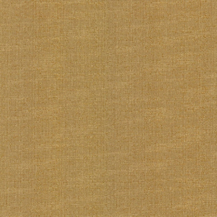 Justin Gold Dust by RM CoCo Fabric Classic Textures 100% Polyester See Sample 60000 Horizontal: 0 and Vertical: 0 54 - Fabric Carolina -