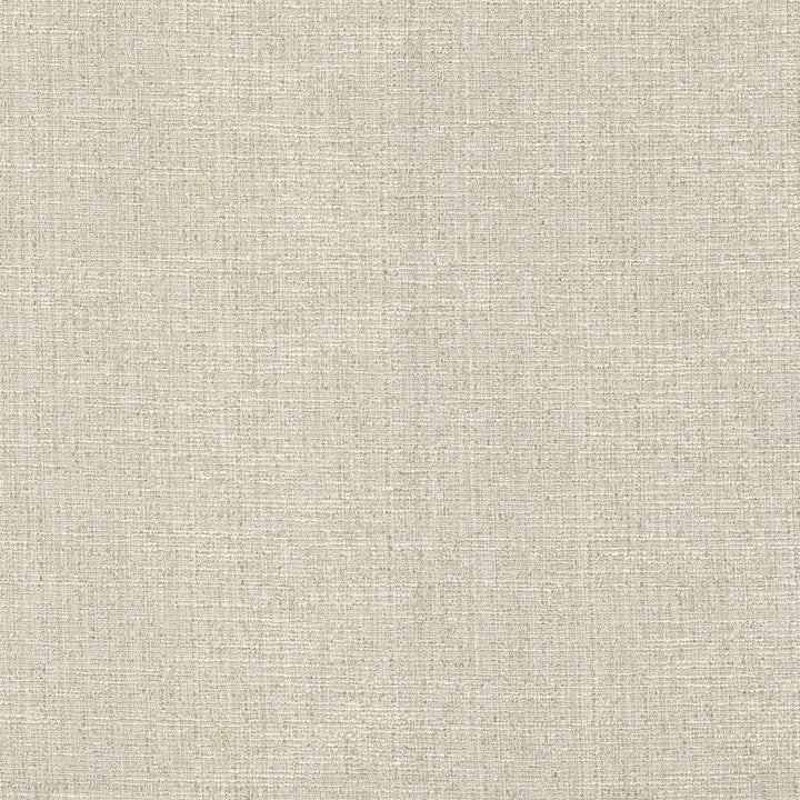 Serenade Chalk by RM CoCo Fabric Classic Textures 66% Cotton 34% Polyester See Sample 69000 Horizontal: 0 and Vertical: 0 54 - Fabric Carolina -