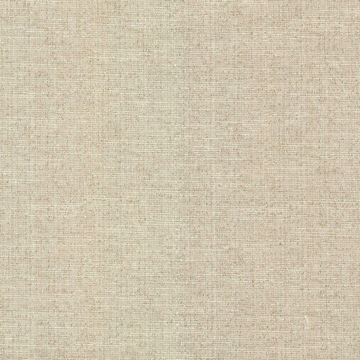 Serenade Oat by RM CoCo Fabric Classic Textures 66% Cotton 34% Polyester See Sample 69000 Horizontal: 0 and Vertical: 0 54 - Fabric Carolina -