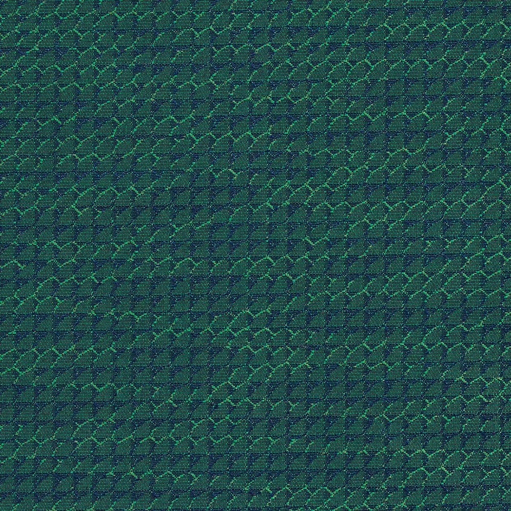 1711 Rainforest by Charlotte Fabric Durables 100% Recycled Polyester Made In USA Exceeds 100,000 Wyzenbeek Rubs (Heavy Duty) No Repeat 54 Inches - Fabric Carolina -