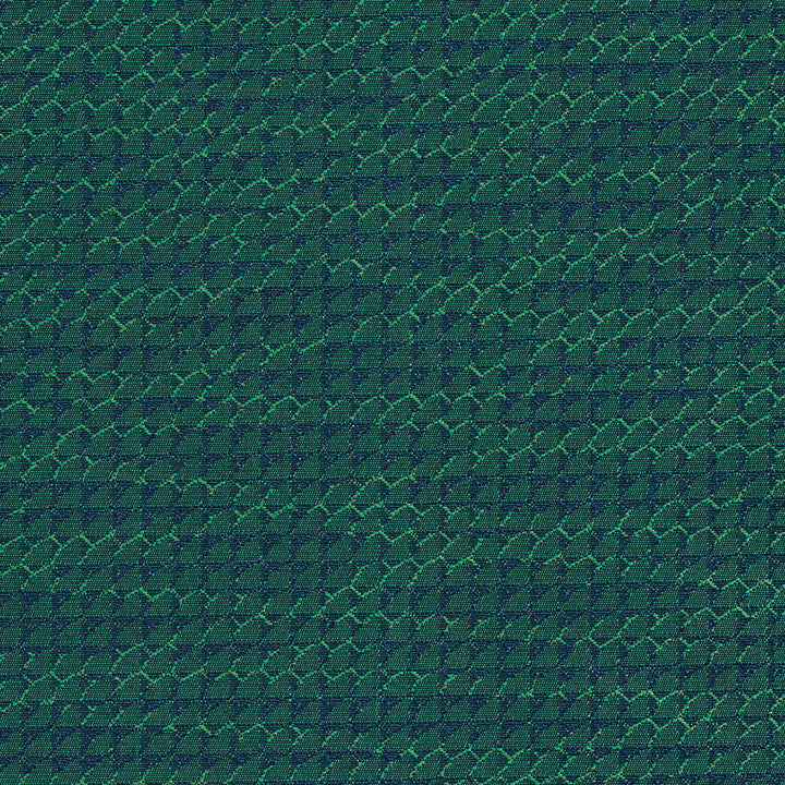 1711 Rainforest by Charlotte Fabric Durables 100% Recycled Polyester Made In USA Exceeds 100,000 Wyzenbeek Rubs (Heavy Duty) No Repeat 54 Inches - Fabric Carolina -