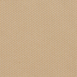 1713 Birch by Charlotte Fabric