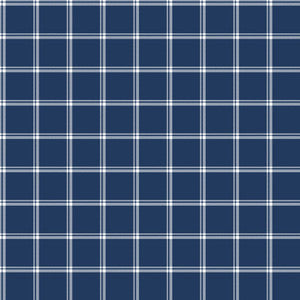 ColorWorks DL116 Navy by RM CoCo Fabric