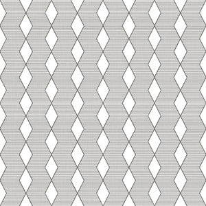 ColorWorks DL118 B&W by RM CoCo Fabric
