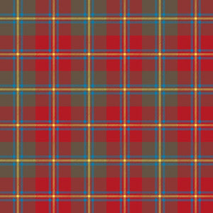 ColorWorks DL120 Tartan by RM CoCo Fabric