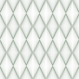 ColorWorks DL125 Basil by RM CoCo Fabric