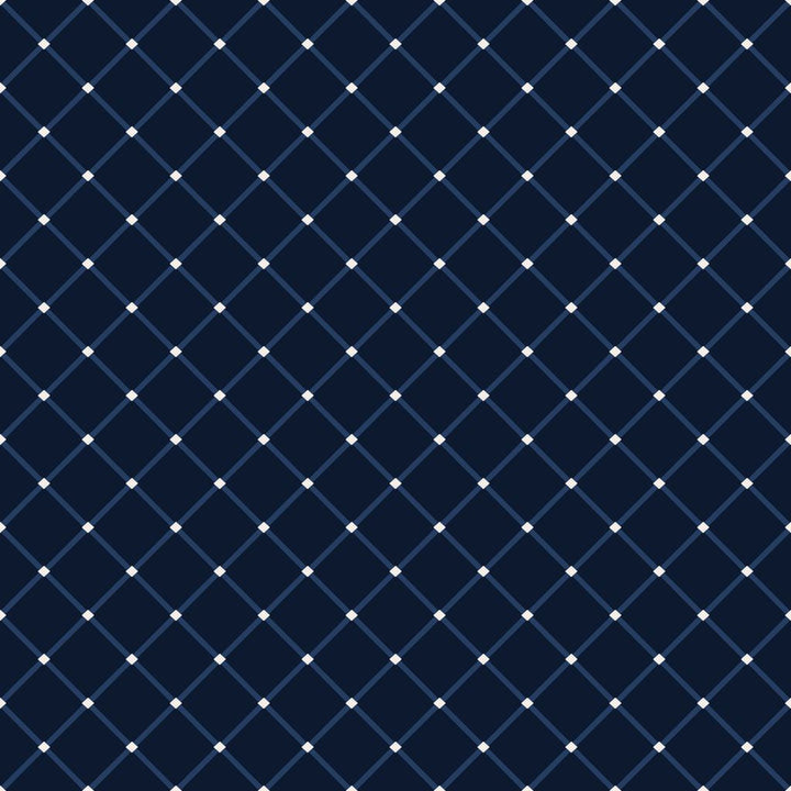 ColorWorks DL126 Navy by RM CoCo Fabric ColorWorks Digital Library See Sample 0 Horizontal: 2.75 and Vertical: 3 0 - Fabric Carolina -
