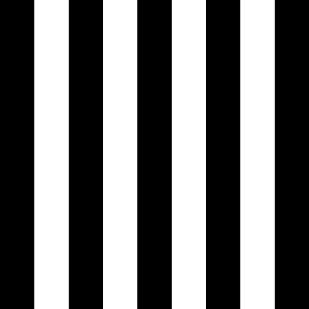 ColorWorks DL145 B&W by RM CoCo Fabric ColorWorks Digital Library See Sample 0 Horizontal: 6 and Vertical: 6 0 - Fabric Carolina -