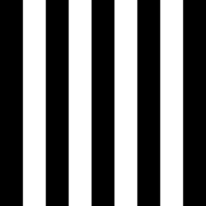 ColorWorks DL145 B&W by RM CoCo Fabric ColorWorks Digital Library See Sample 0 Horizontal: 6 and Vertical: 6 0 - Fabric Carolina -