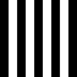 ColorWorks DL145 B&W by RM CoCo Fabric