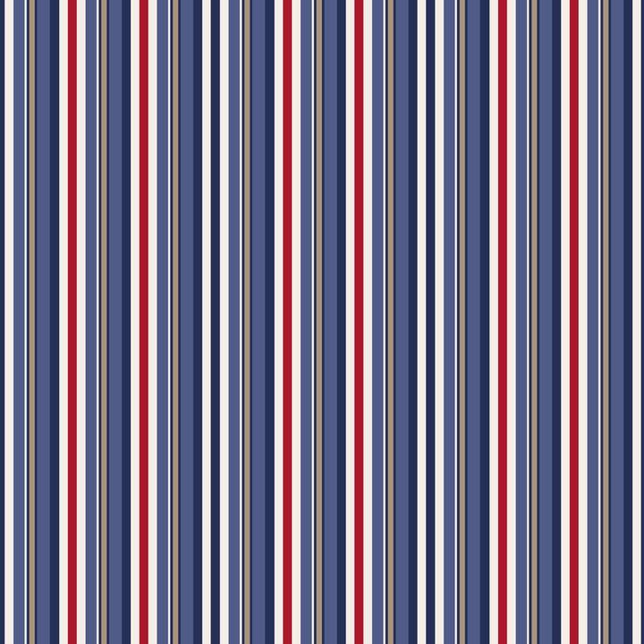 ColorWorks DL146 Britannia by RM CoCo Fabric ColorWorks Digital Library See Sample 0 Horizontal: 9 and Vertical: 3 0 - Fabric Carolina -