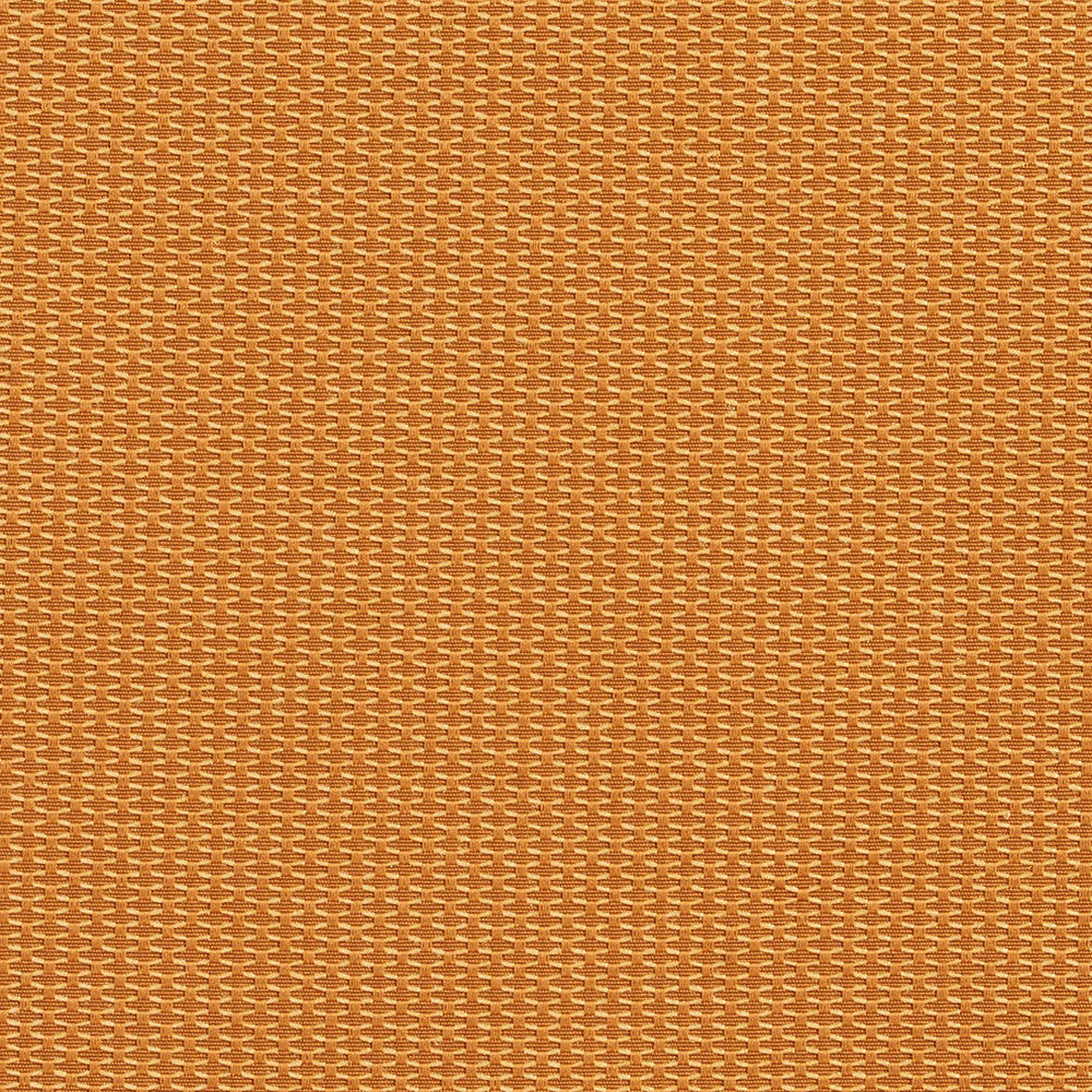1717 Bullion by Charlotte Fabric Durables 100% Recycled Polyester Made In USA Exceeds 100,000 Wyzenbeek Rubs (Heavy Duty) No Repeat 54 Inches - Fabric Carolina -