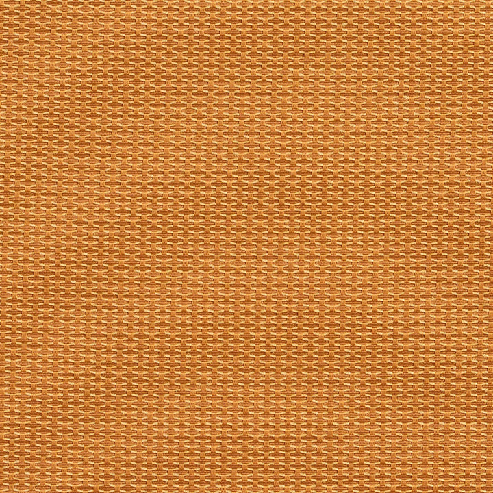 1717 Bullion by Charlotte Fabric Durables 100% Recycled Polyester Made In USA Exceeds 100,000 Wyzenbeek Rubs (Heavy Duty) No Repeat 54 Inches - Fabric Carolina -