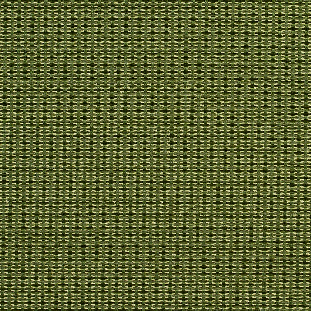 1719 Cactus by Charlotte Fabric Durables 100% Recycled Polyester Made In USA Exceeds 100,000 Wyzenbeek Rubs (Heavy Duty) No Repeat 54 Inches - Fabric Carolina -