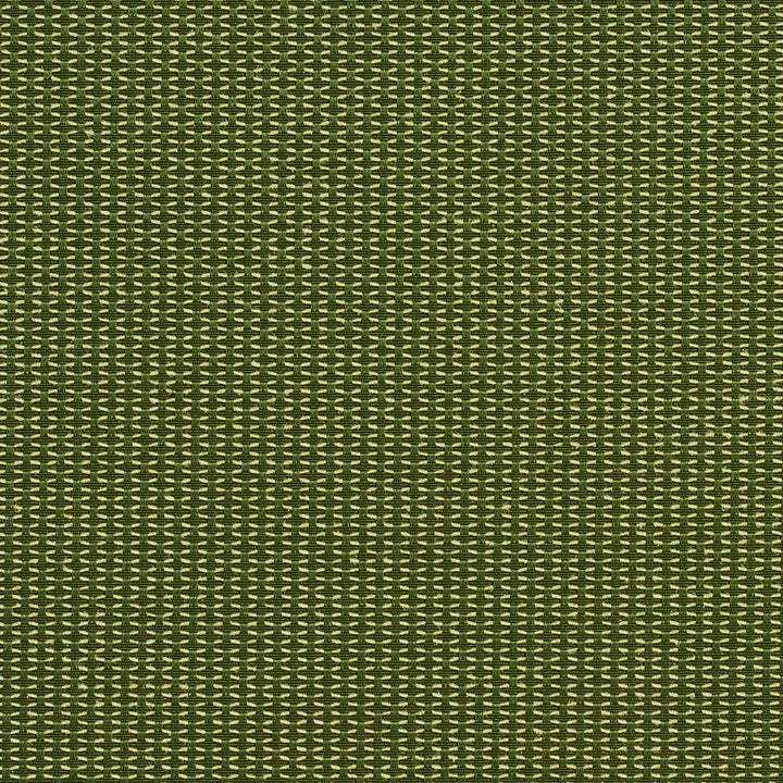 1719 Cactus by Charlotte Fabric Durables 100% Recycled Polyester Made In USA Exceeds 100,000 Wyzenbeek Rubs (Heavy Duty) No Repeat 54 Inches - Fabric Carolina -