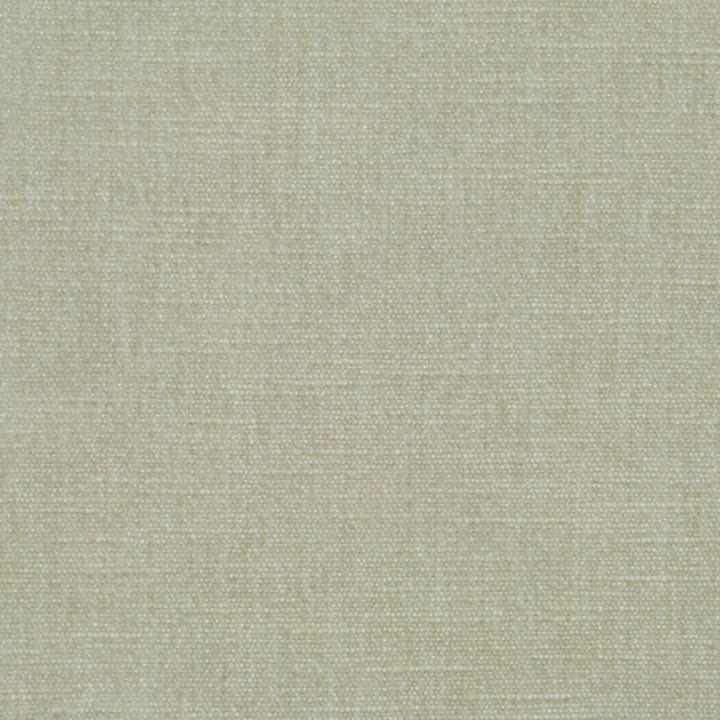 Command Performance Chenille Froth by RM CoCo Fabric Command Performance Chenille 62% Polyester 38% Cotton See Sample 51000 Horizontal: 0 and Vertical: 0 54 - Fabric Carolina -