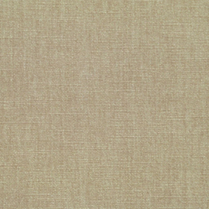 Command Performance Chenille Latte by RM CoCo Fabric Command Performance Chenille 62% Polyester 38% Cotton See Sample 51000 Horizontal: 0 and Vertical: 0 54 - Fabric Carolina -