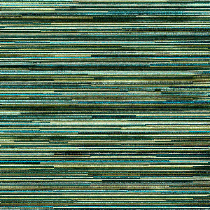 1727 Cypress by Charlotte Fabric Durables 100% Recycled Polyester Made In USA Exceeds 100,000 Wyzenbeek Rubs (Heavy Duty) No Repeat 54 Inches - Fabric Carolina -