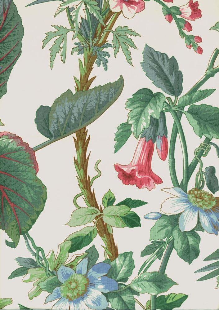 Palmetto Garden Tropic 172951 by Schumacher Fabric - 100% Cotton - Horizontal: 28.5 and Vertical: 41.25 58 - Fabric Carolina -