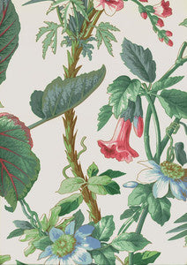 Palmetto Garden Tropic 172951 by Schumacher Fabric