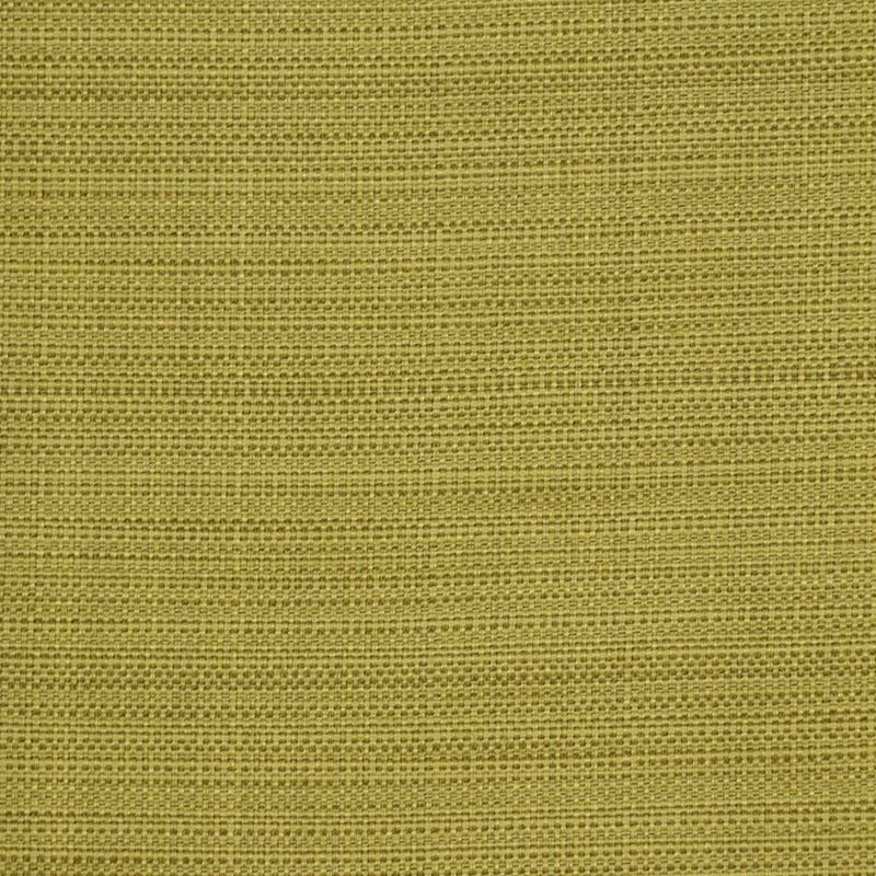 Robert Allen@Home Fabric Texturetake Cactus ~ 5 Yards
