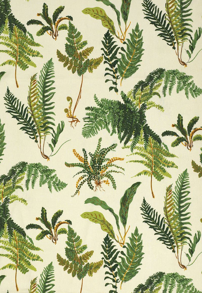 Les Fougeres Document 174090 by Schumacher Fabric Schumacher-Classics 100% Linen - Horizontal: 18 and Vertical: 25.25 54 - Fabric Carolina -