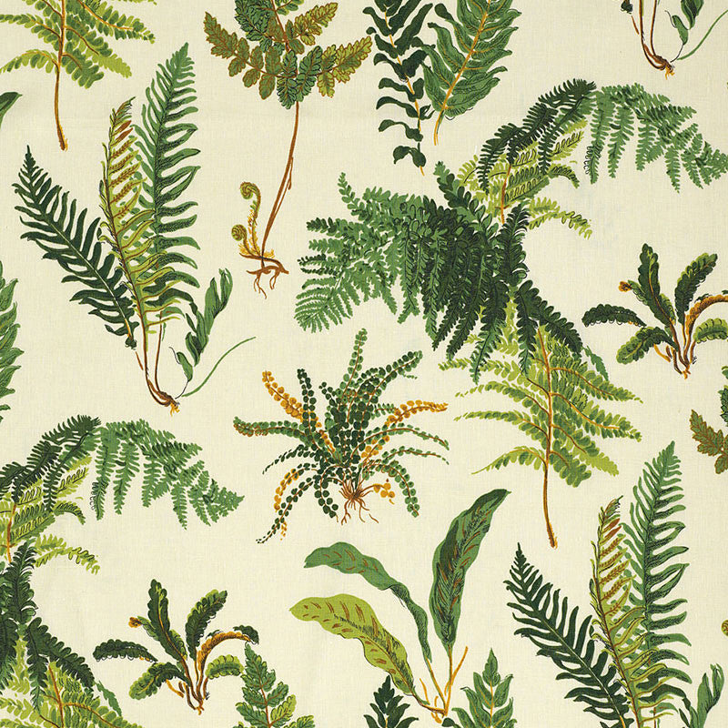 Les Fougeres Document 174090 by Schumacher Fabric SCHUMACHER CLASSICS See Sample BELGIUM . </p><p>Repeat: Horizontal: 18" (46CM) and Vertical: 25 1/4" (64CM) 54" WIDE (137CM) - Fabric Carolina -