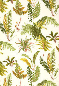 Les Fougeres Spring 174091 by Schumacher Fabric