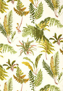 Les Fougeres Spring 174091 by Schumacher Fabric