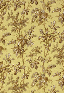 Brantwood Vine Pear 174110 by Schumacher Fabric