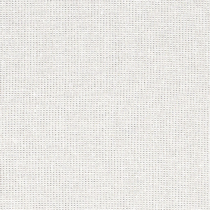 Bamboo Glam Twinkle by RM CoCo Fabric Naturally Speaking 90% Bamboo 5% Linen 5% Zari See Sample 10000 Horizontal: 0 and Vertical: 0 54 - Fabric Carolina -