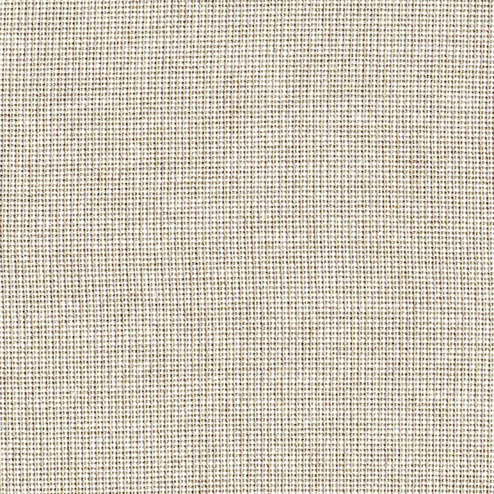 Bamboo Glam Sparkle by RM CoCo Fabric Naturally Speaking 90% Bamboo 5% Linen 5% Zari See Sample 10000 Horizontal: 0 and Vertical: 0 54 - Fabric Carolina -