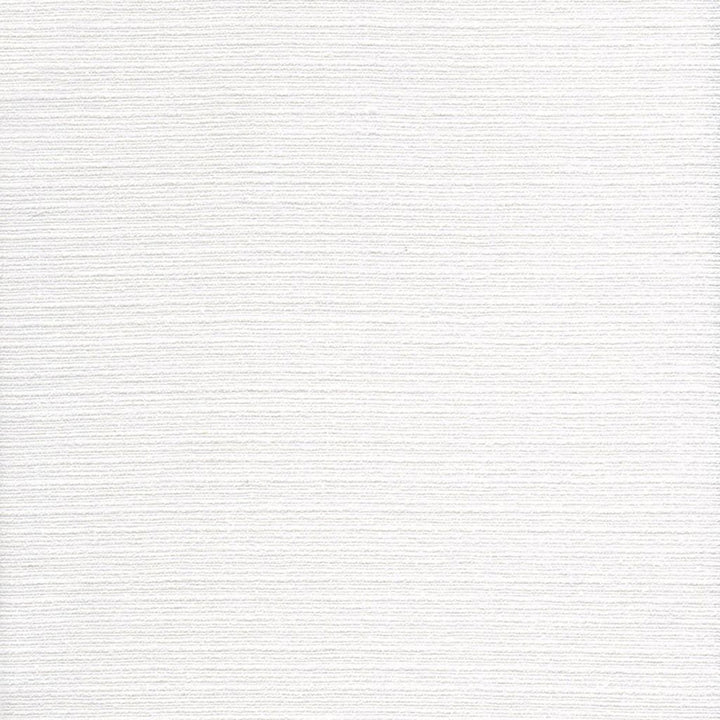 Elusive Cotton Tussah Talc by RM CoCo Fabric Naturally Speaking 60% Cotton 40% Linen See Sample 20000 Horizontal: 0 and Vertical: 0 54 - Fabric Carolina -