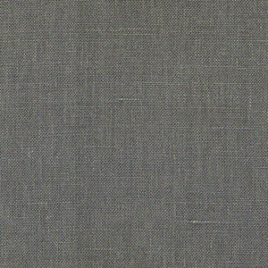 Esprit Linen Thunder by RM CoCo Fabric