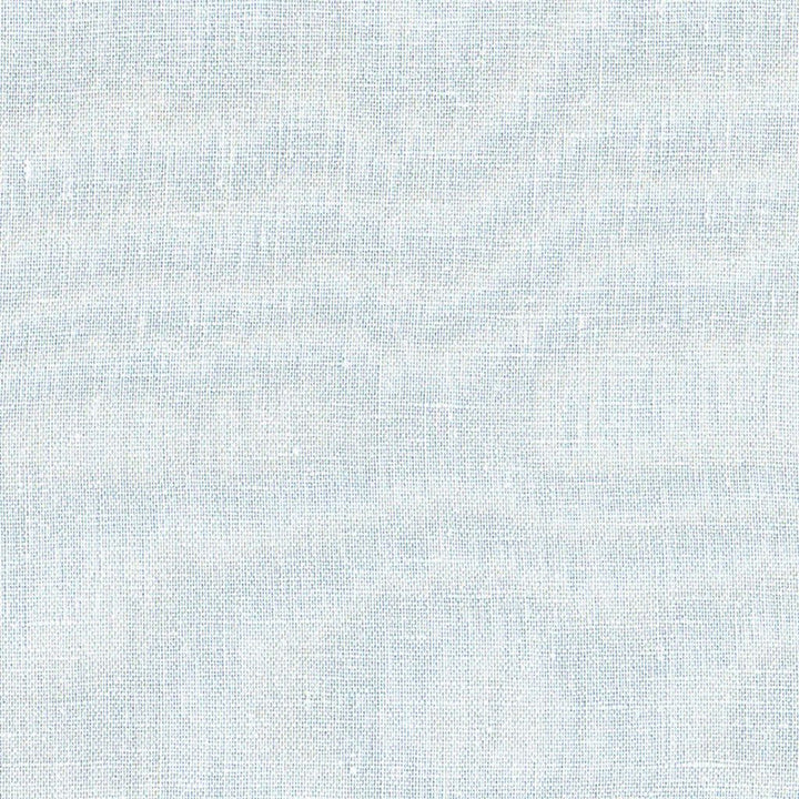Innuendo Linen Robin's Egg by RM CoCo Fabric Naturally Speaking 100% Linen See Sample 0 Horizontal: 0 and Vertical: 0 54 - Fabric Carolina -