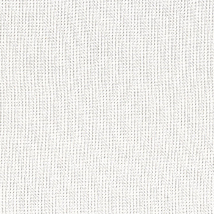Wispy Bamboo Texture White Cap by RM CoCo Fabric Naturally Speaking 95% Bamboo 5% Linen See Sample 25000 Horizontal: 0 and Vertical: 0 54 - Fabric Carolina -