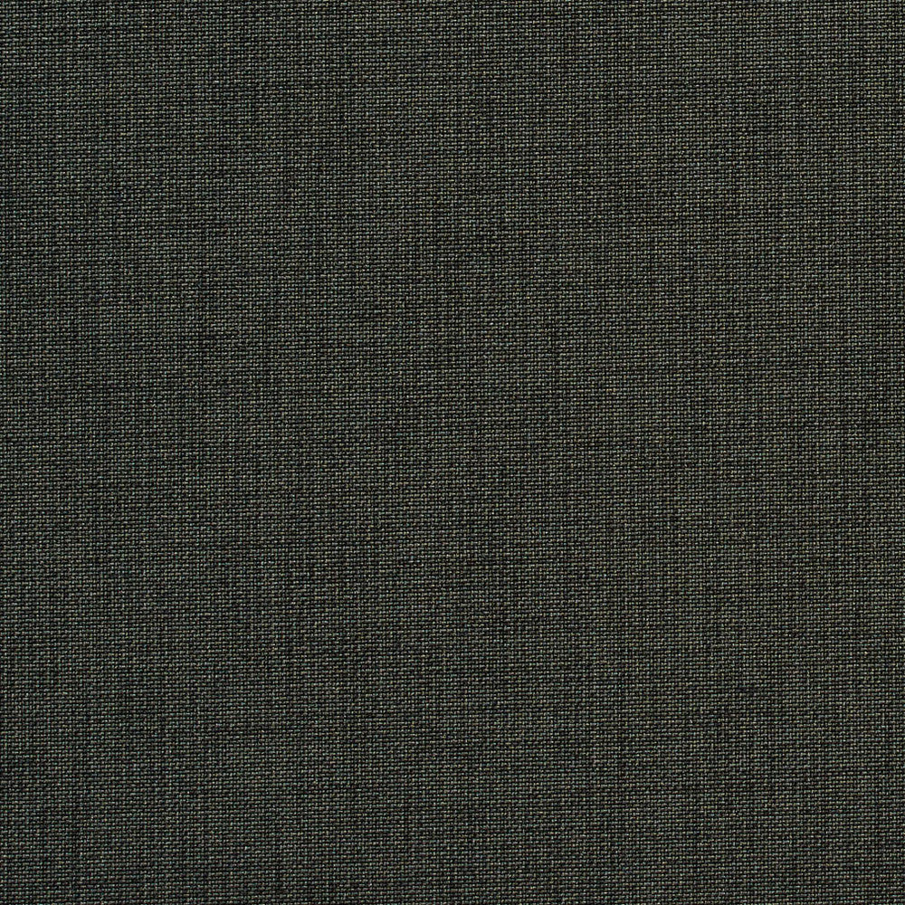 1741 Black by Charlotte Fabric Durables 100% Recycled Polyester Made In USA Exceeds 100,000 Wyzenbeek Rubs (Heavy Duty) No Repeat 54 Inches - Fabric Carolina -