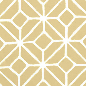 Trellis Print Dune 174231 by Schumacher Fabric