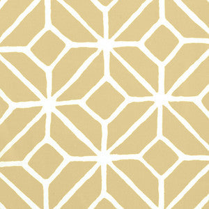 Trellis Print Dune 174231 by Schumacher Fabric