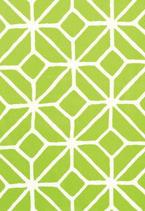 Trellis Print Apple 174234 by Schumacher Fabric