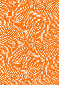 Sonriza Print Orange 174241 by Schumacher Fabric