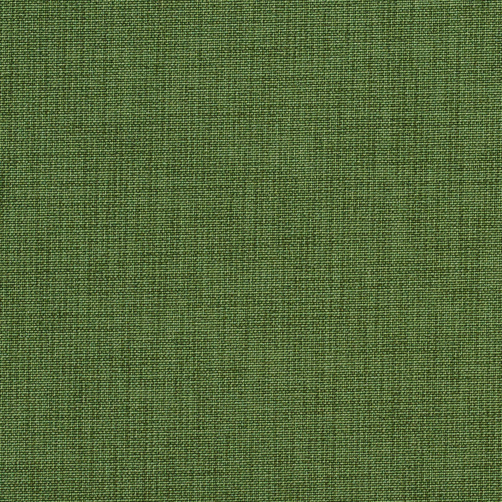 1743 Fern by Charlotte Fabric Durables 100% Recycled Polyester Made In USA Exceeds 100,000 Wyzenbeek Rubs (Heavy Duty) No Repeat 54 Inches - Fabric Carolina -