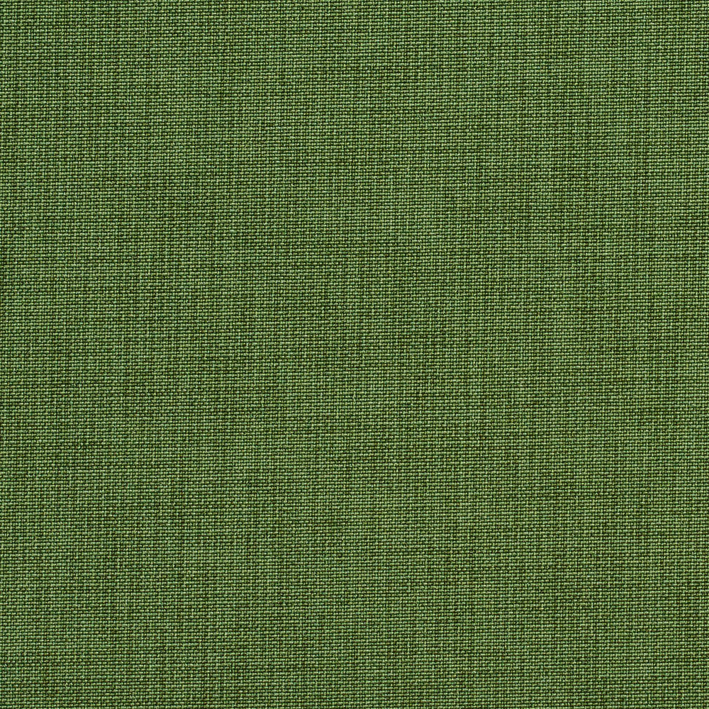 1743 Fern by Charlotte Fabric Durables 100% Recycled Polyester Made In USA Exceeds 100,000 Wyzenbeek Rubs (Heavy Duty) </p><p>Repeat: 54 Inches - Fabric Carolina -