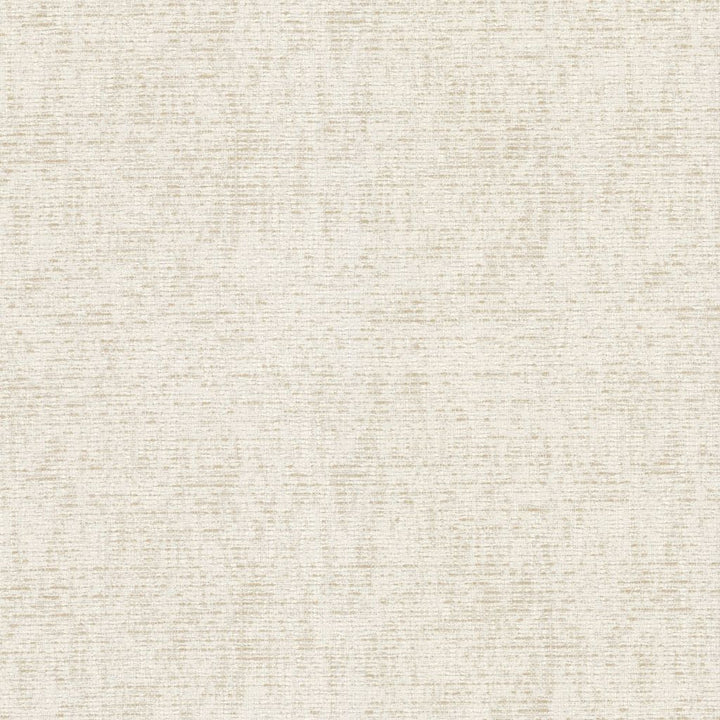 Polynesia Sand Dollar by RM CoCo Fabric Island Breeze II InsideOut Performance 100% UV Polyester See Sample 63000 Horizontal: 0 and Vertical: 0 55 - Fabric Carolina -